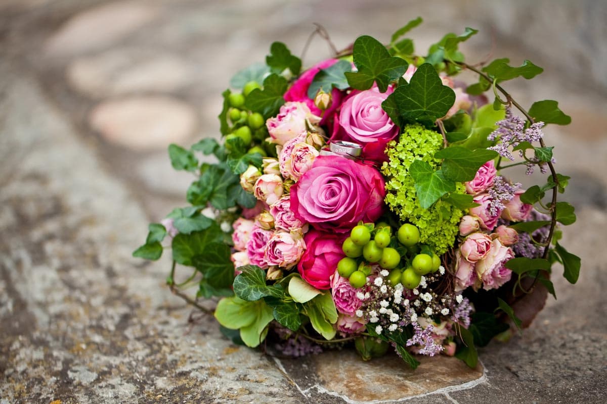 Más de 50 años siendo su floristería de confianza