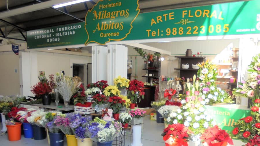 Atrio Albitos Floristería en Ourense