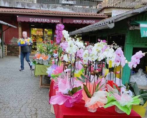 Atrio Albitos Floristería en Ourense