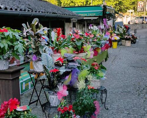 Atrio Albitos Floristería en Ourense